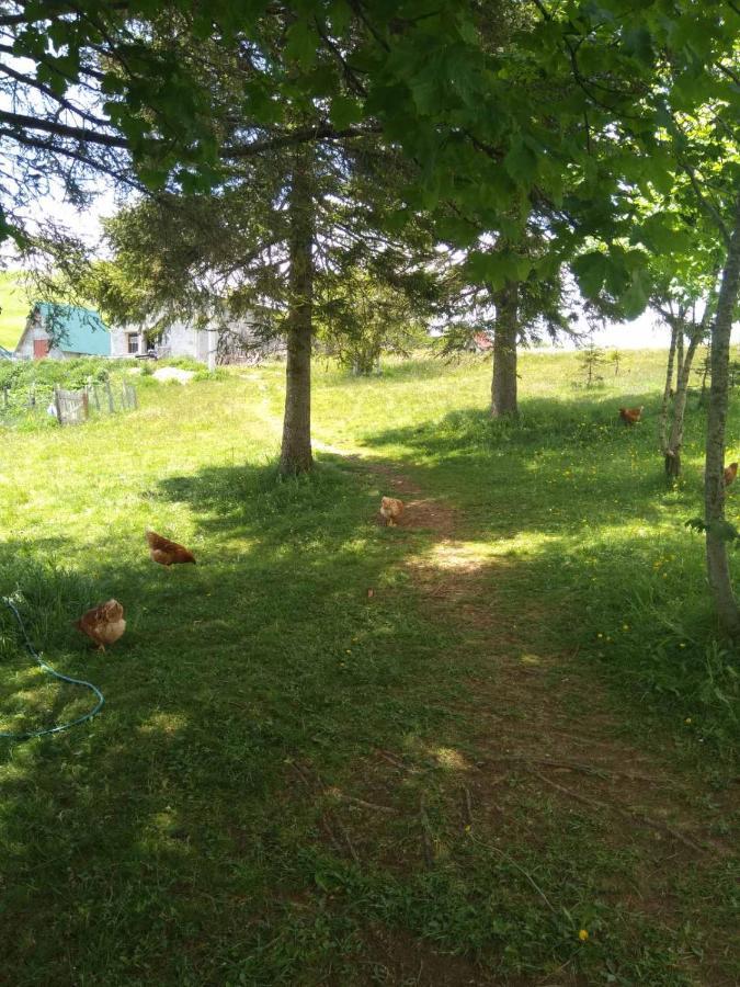 Гостевой дом Family Farm Jezera Жабляк Экстерьер фото